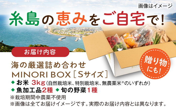 【年内発送】糸島産 魚 米 野菜 果物 厳選詰め合わせ MINORI BOX Sサイズ 糸島市 / emma.Inc / 米 魚 野菜 詰め合わせ [AOP019]