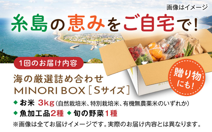 【全3回定期便】糸島産 魚 米 野菜 果物 厳選詰め合わせ MINORI BOX Sサイズ 糸島市 / emma.Inc / 米 魚 野菜 詰め合わせ [AOP020]