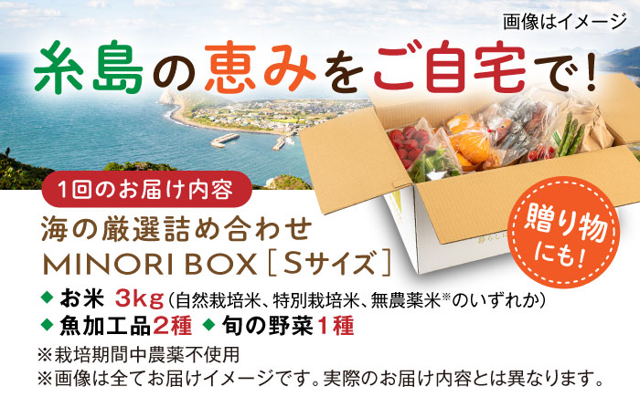【全6回定期便】糸島産 魚 米 野菜 果物 厳選詰め合わせ MINORI BOX Sサイズ 糸島市 / emma.Inc / 米 魚 野菜 詰め合わせ [AOP021]