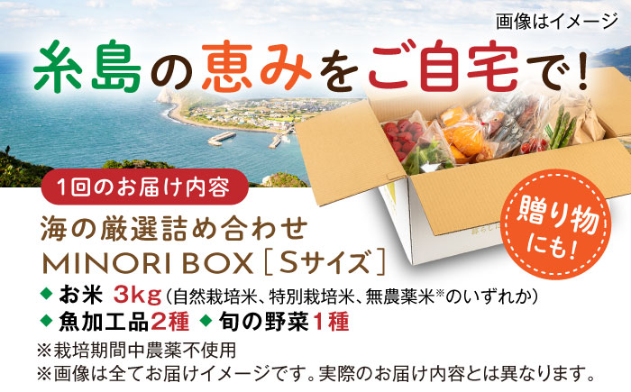 【全12回定期便】糸島産 魚 米 野菜 果物 厳選詰め合わせ MINORI BOX Sサイズ 糸島市 / emma.Inc / 米 魚 野菜 詰め合わせ [AOP022]