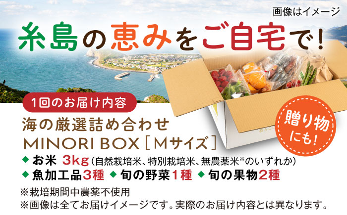 【全3回定期便】糸島産 魚 米 野菜 果物 厳選詰め合わせ MINORI BOX Mサイズ 糸島市 / emma.Inc / 米 魚 野菜 果物 詰め合わせ [AOP024]