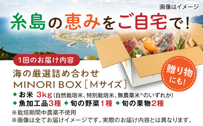 【全6回定期便】糸島産 魚 米 野菜 果物 厳選詰め合わせ MINORI BOX Mサイズ 糸島市 / emma.Inc / 米 魚 野菜 果物 詰め合わせ [AOP025]