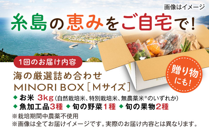 【全12回定期便】糸島産 魚 米 野菜 果物 厳選詰め合わせ MINORI BOX Mサイズ 糸島市 / emma.Inc / 米 魚 野菜 果物 詰め合わせ [AOP026]