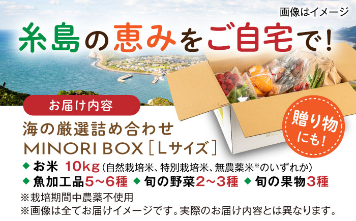 【年内発送】糸島産 魚 米 野菜 果物 厳選詰め合わせ MINORI BOX Lサイズ 糸島市 / emma.Inc / 米 魚 野菜 果物 詰め合わせ [AOP027]