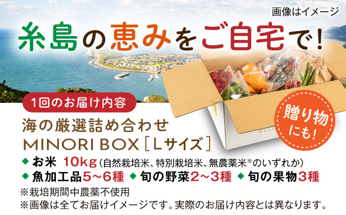 【全3回定期便】糸島産 魚 米 野菜 果物 厳選詰め合わせ MINORI BOX Lサイズ 糸島市 / emma.Inc / 米 魚 野菜 果物 詰め合わせ [AOP028]