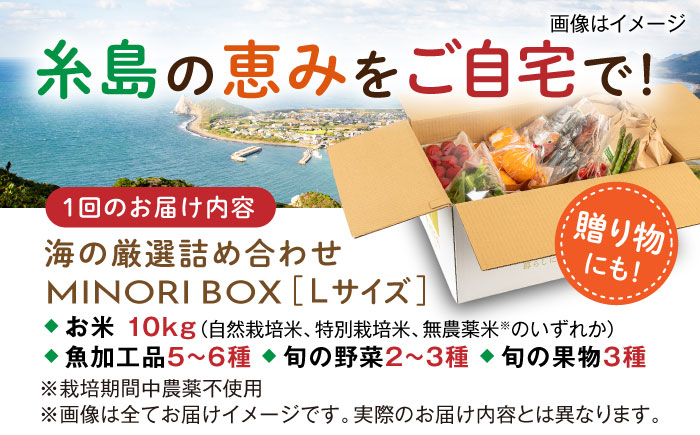 【全6回定期便】糸島産 魚 米 野菜 果物 厳選詰め合わせ MINORI BOX Lサイズ 糸島市 / emma.Inc / 米 魚 野菜 果物 詰め合わせ [AOP029]