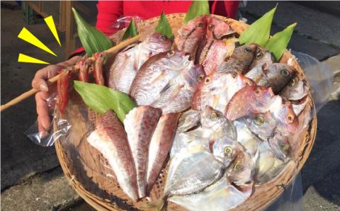 干物セット4点（1匹20cm以上） マダイ 徳栄丸 [APD006]