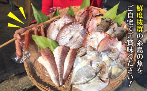 干物＆白身魚4点＋わかめの佃煮セット（簡単おうちご飯）徳栄丸 [APD007]