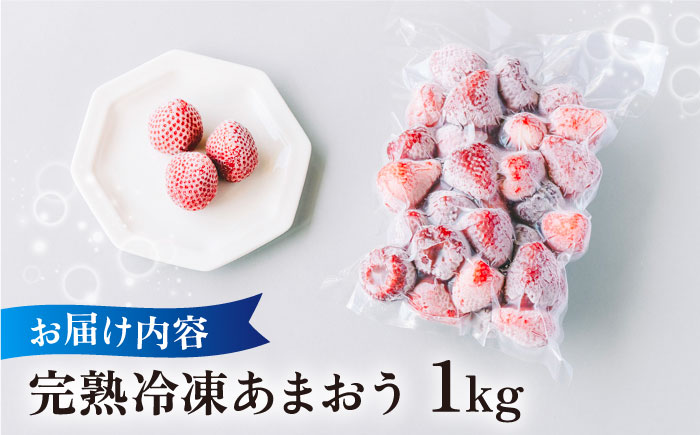 【先行受付】完熟冷凍あまおう 1kg【2026年3月中旬より順次発送】糸島市 / slowberry strawberry [APJ006] あまおう いちご 果物