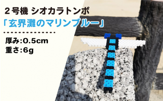 二号機 ： 玄界灘 の マリンブルー シオカラトンボ 《糸島》【糸島とんぼ】 [APK003]