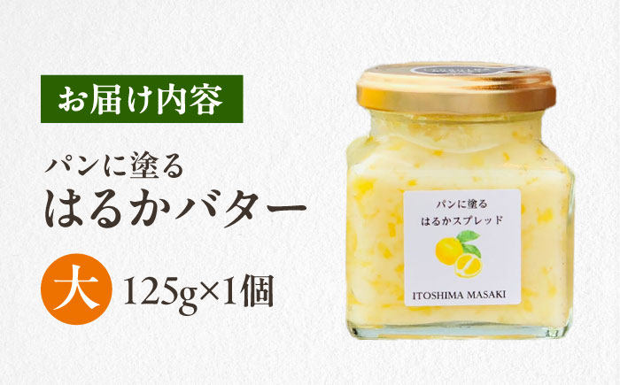 はるかバター 大 1個 糸島市 / 糸島正キ みかん ジャム クリーム [AQA058]