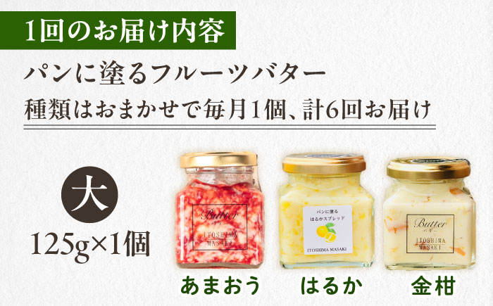 【全6回定期便】お楽しみ定期便 フルーツバター大1個 糸島市/糸島正キ ジャム クリーム 果物 [AQA063]