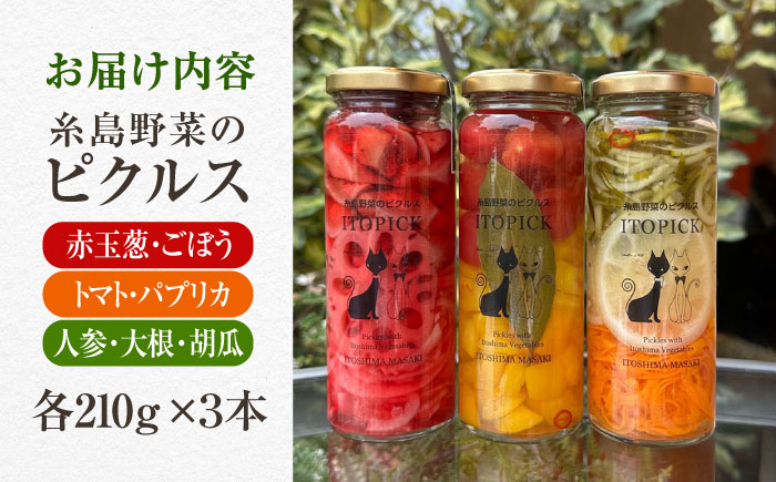 【ITOPICK】糸島野菜のピクルス3本セット 糸島市 / 糸島正キ [AQA098]