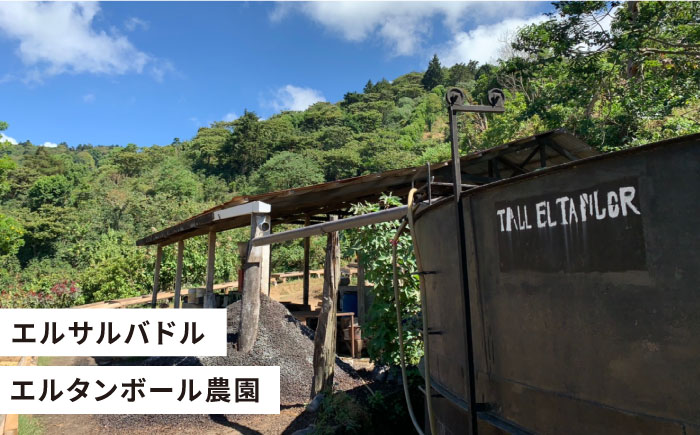 【年内発送】深煎りコーヒー豆 250g×2袋 （豆・粉選べます） エルサルバドル産 エルタンボール農園 ブルボン種 パルプドアンドディスムシラージ 糸島市 / COFFEE UNIDOS [AQF008]