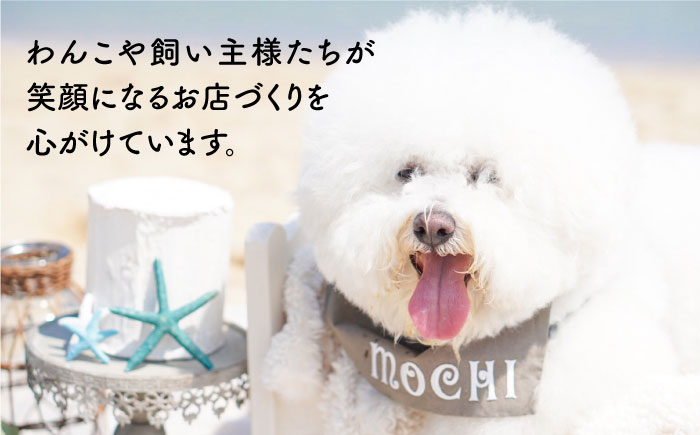 【全2回定期便】お肉 2種 セット 糸島市 / 株式会社コバヤシ【coco.kina】 犬 おやつ ジャーキー チップス 無添加 [ASL006]