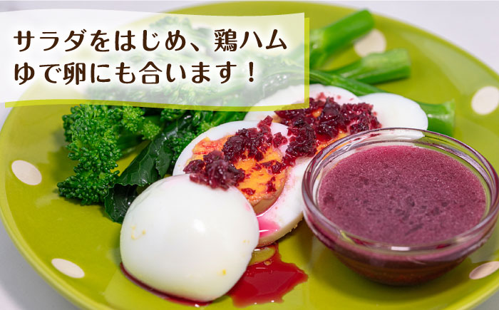 ビーツドレッシング ３本 セット 糸島市/ 農園カフェ 風天 [ASN001] ビーツ 調味料