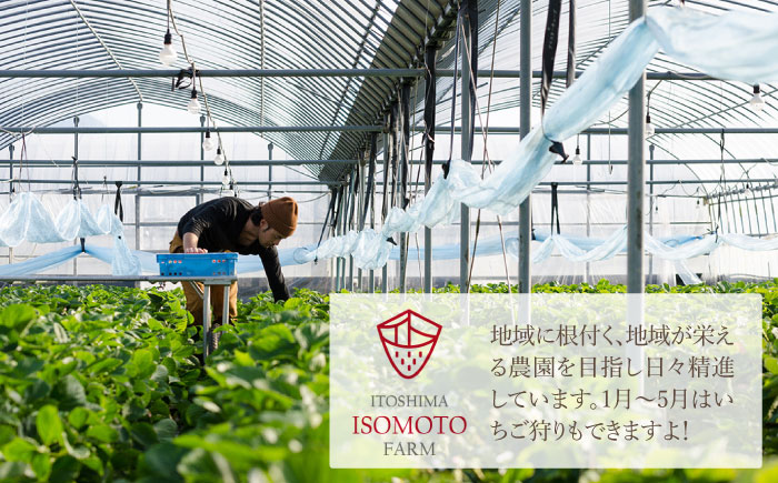 あまおうコンポート 4本セット 【糸島 磯本農園】いちご/イチゴ/苺 [ATB014]