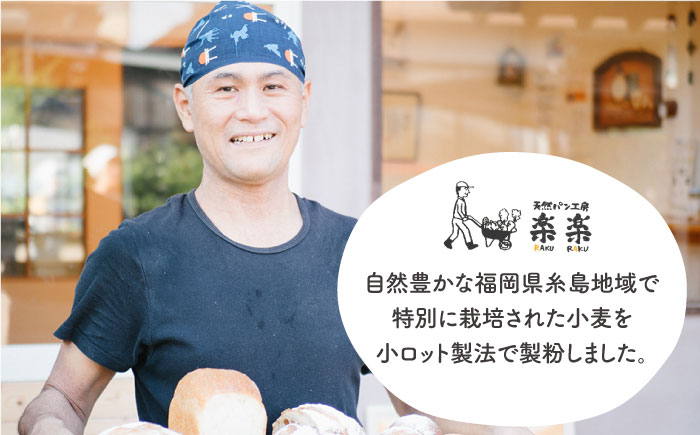 【全12回定期便】できたてもっちり♪かわいい米粉プチパン キット・3袋（3回分）入り・粉類の計量不要！【天然パン工房楽楽】【いとしまごころ】 [AVC031]