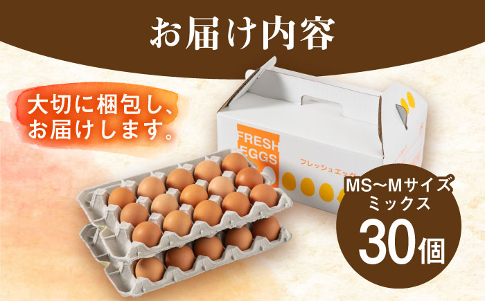 【年内発送】【30個】黄身にコク！白身に甘み！てつやとのりこの玉子 板垣ファーム [AWD001]