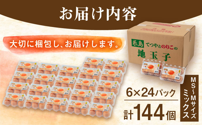 【年内発送】【144個小分け】黄身にコク！白身に甘み！てつやとのりこの玉子（6個入×24P） 板垣ファーム [AWD004]