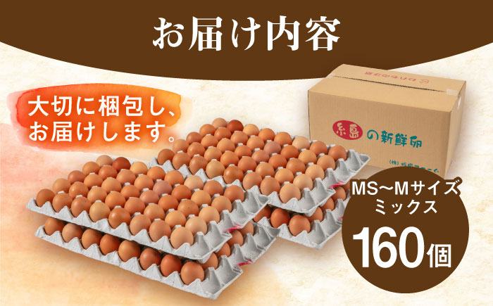 【年内発送】【160個】黄身にコク！白身に甘み！てつやとのりこの玉子 板垣ファーム [AWD005]