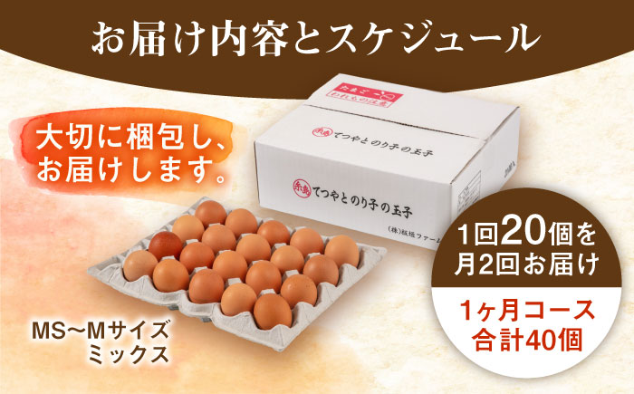 《月2回 × 20個 1ヶ月コース》 卵 てつやとのりこの玉子 全2回定期便 糸島市 / 板垣ファーム [AWD011]