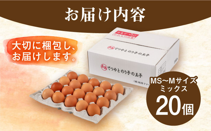 【年内発送】てつやとのりこの玉子 【 20個 】 糸島市 / 板垣ファーム 卵 たまご 鶏卵 [AWD015]