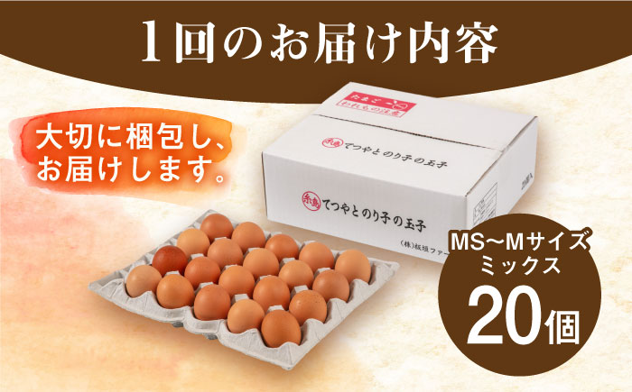 【全6回定期便】てつやとのりこの玉子 【 20個 】 糸島市 / 板垣ファーム 卵 たまご 鶏卵 [AWD017]