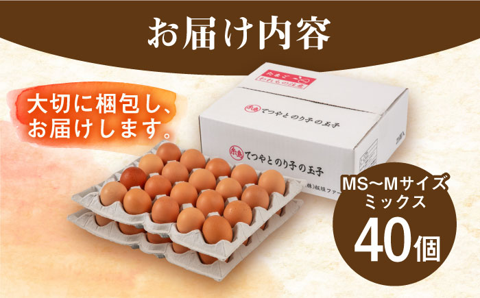 【年内発送】てつやとのりこの玉子 【 40個 】 糸島市 / 板垣ファーム 卵 たまご 鶏卵 [AWD019]
