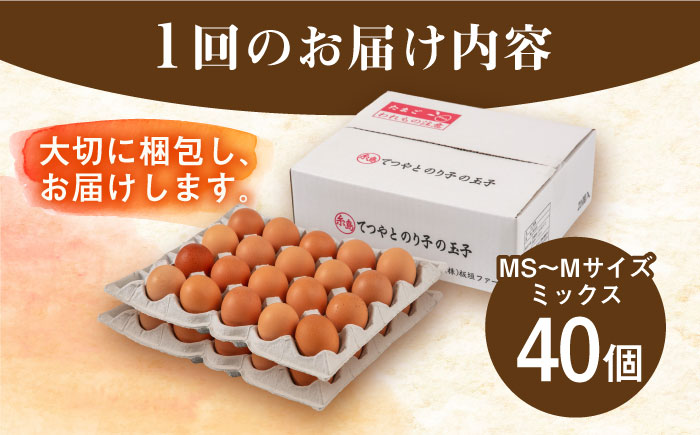 【全12回定期便】てつやとのりこの玉子 【 40個 】 糸島市 / 板垣ファーム 卵 たまご 鶏卵 [AWD022]
