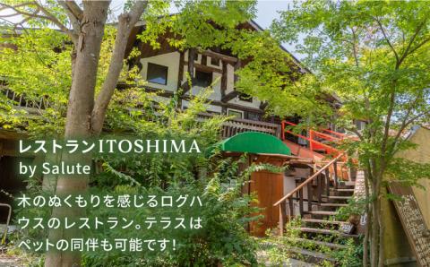 【グルテンフリー】レストランITOSHIMA の 手作り カレー 3種類 3個 セット 糸島市 / 株式会社竹次郎 [AWJ004] レトルト カレー