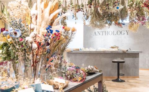 ドライフラワースワッグLサイズ RED BLUE [AXF008]