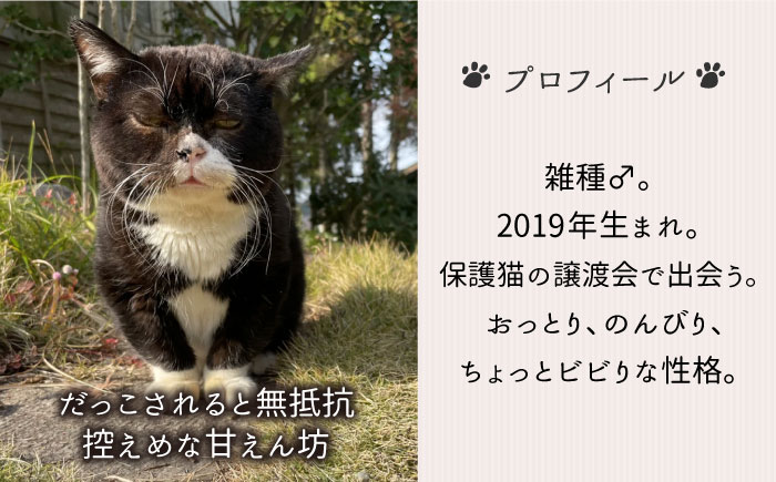 【 SNSで人気の猫 / 糸島観光大使】【 もんた 】 マスコット キーホルダー 糸島市 / Basismall 猫 ネコ 観光大使 [AXL002]