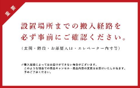 【Ritzwell】LIGHT FIELD SOFA（L型セット） 家具 ソファ [AYG012]