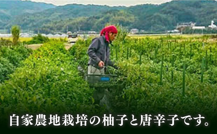 糸島産極上手造ゆずこしょう青 4本セット《小林農園》福岡/てづくり/調味料/九州/柚子/胡椒/あらびき/ゆず [AZE001]