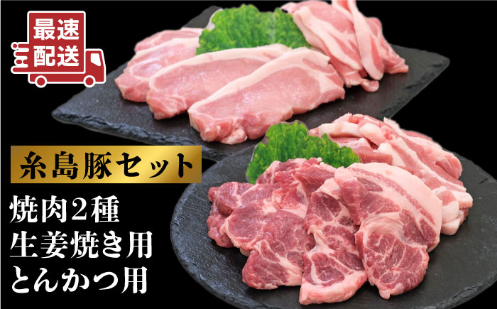 糸島豚肉セット（焼肉用・生姜焼き用・とんかつ用）糸島市 / JA糸島産直市場 伊都菜彩 [AED003]