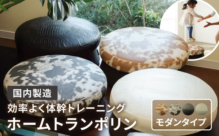 ホームトランポリン モダンタイプ 糸島市 / 未来航路 クッション インテリア [AAB010]