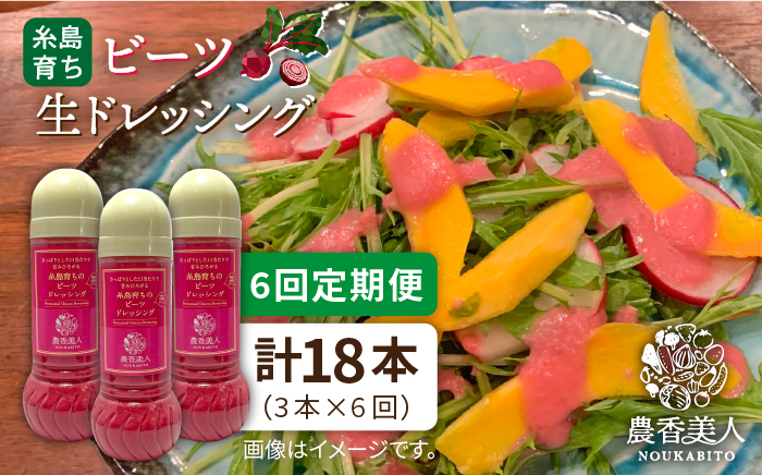 【 全6回 定期便 】糸島 そだち の ビーツ ドレッシング × 3本 セット 《糸島》【農香美人】[AAG031]