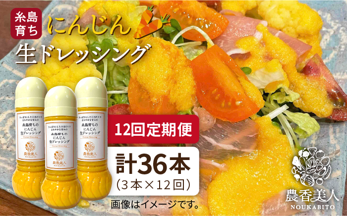【 全12回 定期便 】農香美人 オリジナル にんじん 生 ドレッシング 285ml × 3本 セット《糸島》【農香美人】[AAG035]