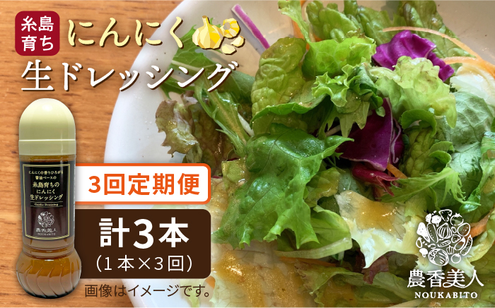 【 全3回 定期便 】糸島 そだち の にんにく 生 ドレッシング （ 285ml × 1本 ） 【農香美人】 [AAG036]