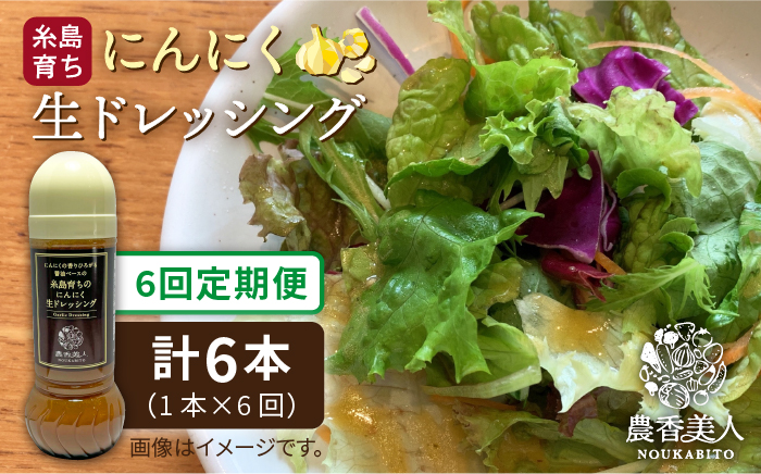 【 全6回 定期便 】糸島 そだち の にんにく 生 ドレッシング （ 285ml × 1本 ） 【農香美人】 [AAG037]