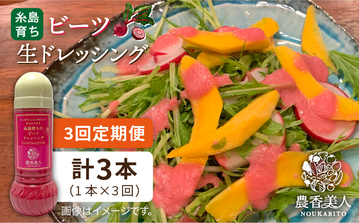 【全3回定期便】糸島 そだち の ビーツ ドレッシング （ 285ml × 1本 ）《糸島》【農香美人】 [AAG045]