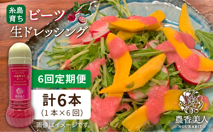 【全6回定期便】糸島 そだち の ビーツ ドレッシング （ 285ml × 1本 ）《糸島》【農香美人】 [AAG046]