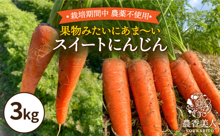 【栽培期間中 農薬不使用！】スイート にんじん 3kg ×1箱 糸島市 / 農香美人 [AAG054] 人参