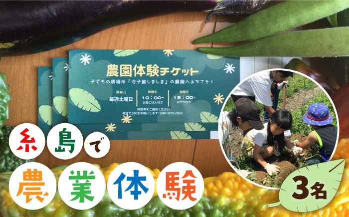 糸島で農業体験(3名) 栽培期間中農薬不使用 無化学肥料 無除草剤の畑で野菜のお世話体験！ [AAL003]