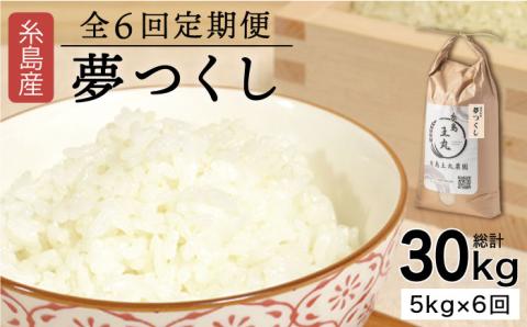 【全6回定期便】 糸島産 夢つくし 5kg × 6回（月1回） 糸島市 / 糸島王丸農園 ( 谷口汰一 )【いとしまごころ】[AAZ003]