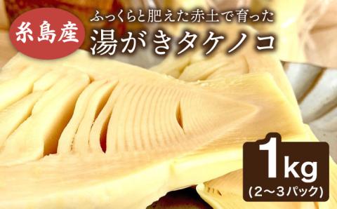 【先行予約】湯がきタケノコ 1kg 【2025年3月下旬以降より順次発送・季節限定】糸島市 / 糸島王丸農園(谷口汰一)【いとしまごころ】 [AAZ009]