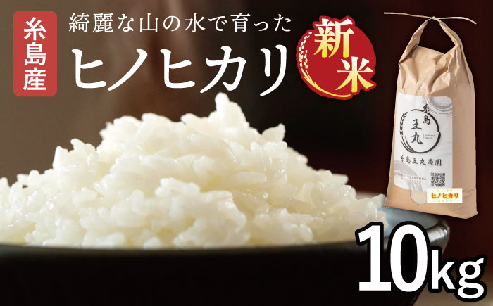 【令和7年産新米】糸島産 ヒノヒカリ 10kg  糸島市 / 糸島王丸農園 ( 谷口汰一 )【いとしまごころ】 [AAZ014]