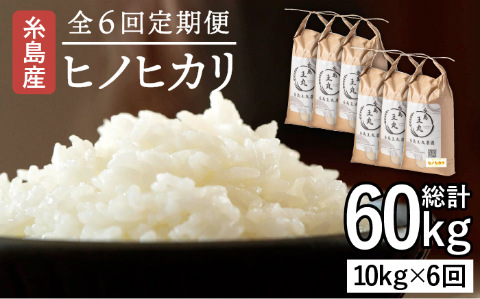 【全6回定期便】糸島産 ヒノヒカリ 10kg×6回 糸島市 / 糸島王丸農園 ( 谷口汰一 )【いとしまごころ】 [AAZ016]