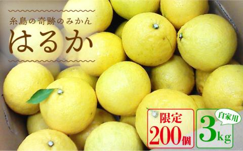 【年内発送】【先行予約】  爽やか に 甘い ！ 糸島産 「 はるか 」  お試し用 約 3kg 【2025年3月より順次発送】二丈赤米産直センター [ABB003]
